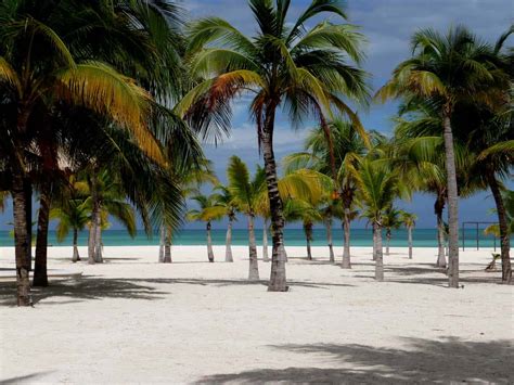 cozumel nude beach|Die 12 Schönsten Strände In Cozumel, Mexiko